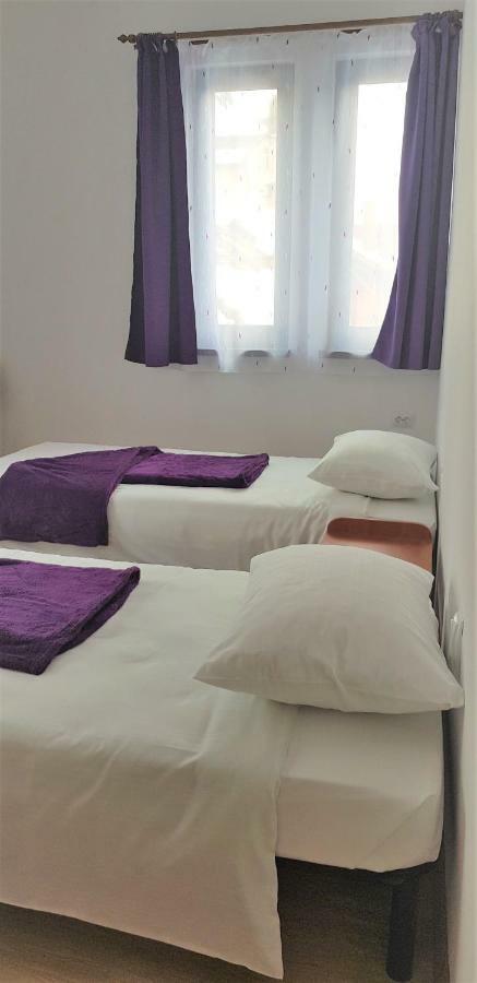 Coroian House Apartment Cluj Napoca Bagian luar foto